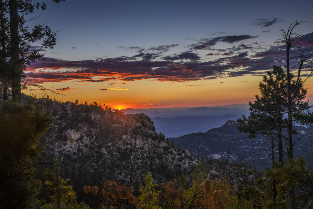 ElevateEdAZ Expands Statewide with Launch of Southern Arizona Pilot Program